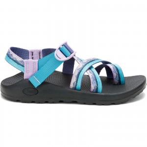 Grey Blue Chaco Z/2 Classic Landscapes USA Sandal Wide Width | QOCFTL-245