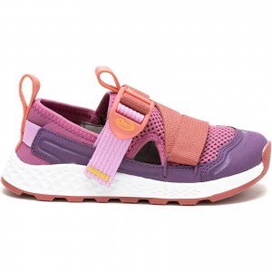 Purple Rose Chaco Drifter | MVXALT-543