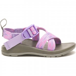 Purple Rose Chaco Z/1 EcoTread Sandal | PMEJZU-537