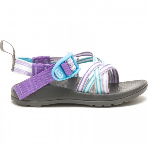 Purple Rose Chaco ZX/1 EcoTread Sandal | SQVFTH-465