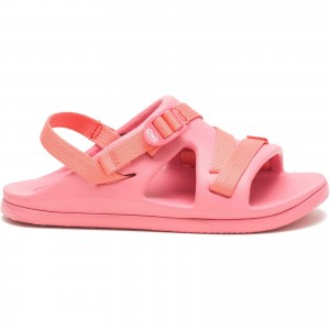 Rose Chaco Chillos Sport Sandal | KHJSIZ-014