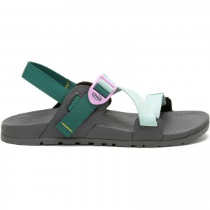 Surf Spray Chaco Lowdown Sandal | OSDFJP-019