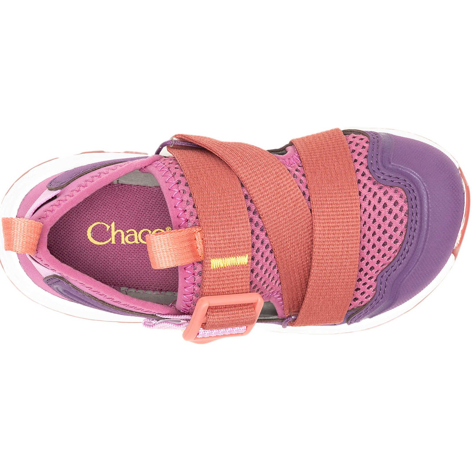 Purple Rose Chaco Drifter | AOZJDC-674